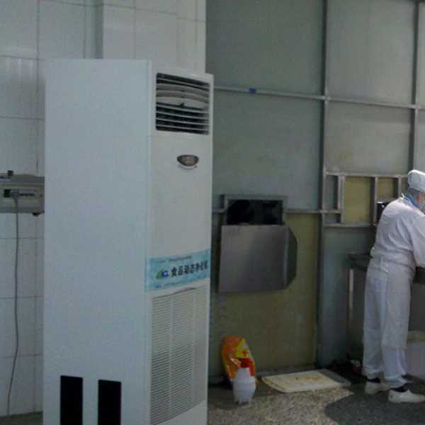 江苏食品正负离子空气杀菌器